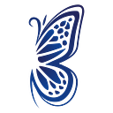 blueera softech