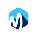 MEEDEN LABS PRIVATE LIMITED