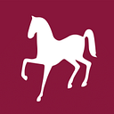 WHITE HORSE MANPOWER CONSULTANCY (P) LTD