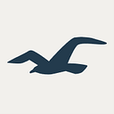 Hollister Global Business Service India