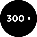 300 Plus Consultant