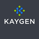 Kaygen Consulting