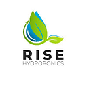 Rise Hydroponics - Future of Farming
