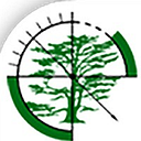 Business Tree Consultants