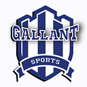 Gallant Sports India