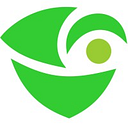 Quantum AI Systems