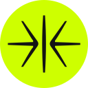 indian digital payment intelligence corporation