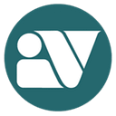 V Group Consultancy Services